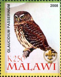 Stamp, Glaucidium Passerinum, Cinderellas,  , Animals (Fauna), Birds, Owls