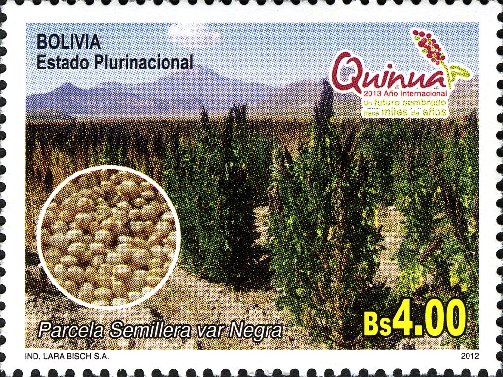 International Year of Quinoa 2013