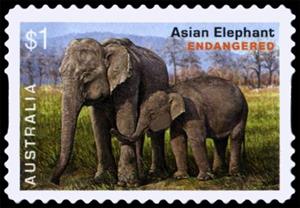 Stamp, Asian Elephant (Elephas maximus), Australia,  , Animals (Fauna), Elephants, Mammals