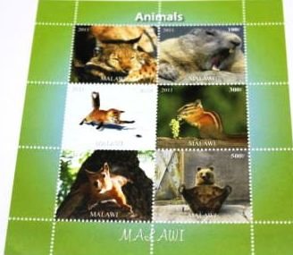 Animals