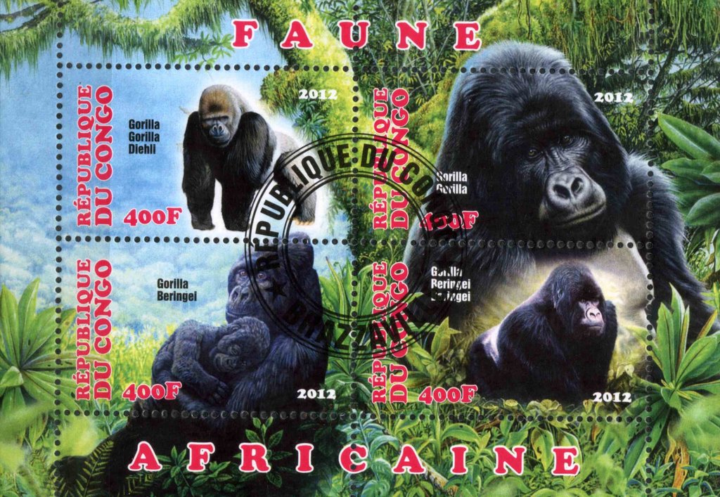 Faune