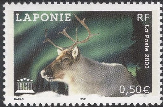 Reindeer (Rangifer tarandus), Lapland