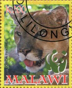 Stamp, Florida Panthera, Cinderellas,  , Animals (Fauna), Cats