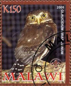 Stamp, Glaucidium Brasilianum, Cinderellas,  , Animals (Fauna), Birds, Owls