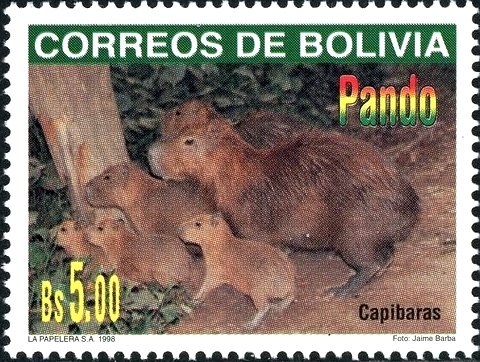 Famill of Capybaras