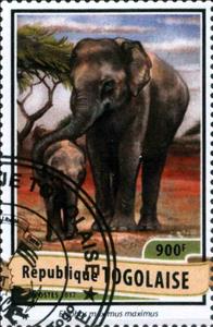 Stamp, Elephas maximus maximus, Cinderellas,  , Animals (Fauna), Elephants