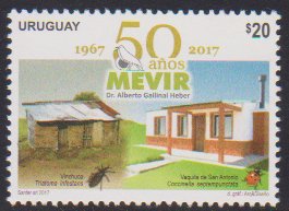 50th Anniversary of MEVIR Housing Rehabilitation Program