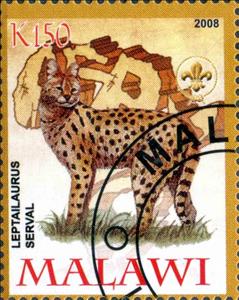 Stamp, Leptailaurus Serval, Cinderellas,  , Animals (Fauna)
