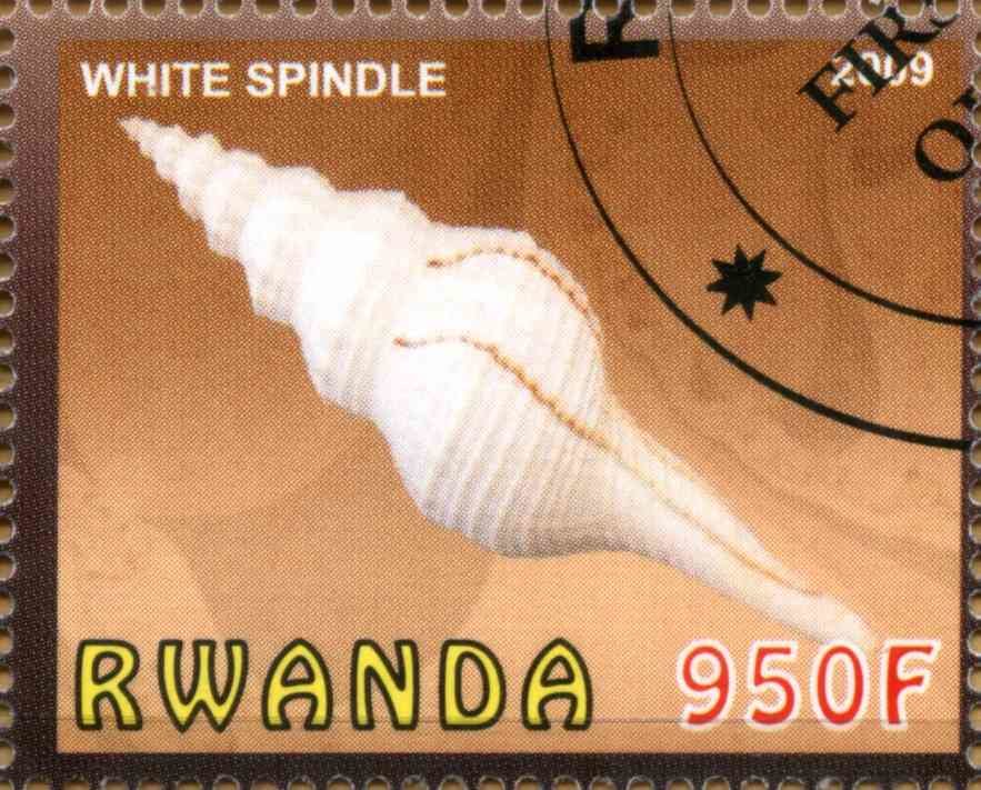 White Spindle