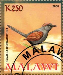 Stamp, Synallaxis Brachyura, Cinderellas,  , Animals (Fauna), Birds