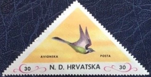 Bird