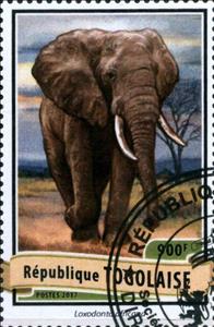 Stamp, Loxodonta africana, Cinderellas,  , Animals (Fauna), Elephants