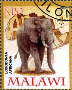 Stamp, Loxodonta Africana, Cinderellas,  , Animals (Fauna), Elephants