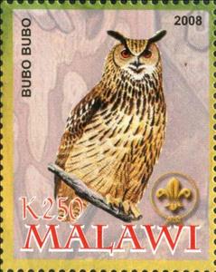 Stamp, Bubo Bubo, Cinderellas,  , Animals (Fauna), Birds, Owls