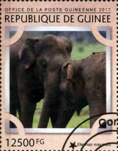 Stamp, Elephas maximus, Cinderellas,  , Animals (Fauna), Elephants