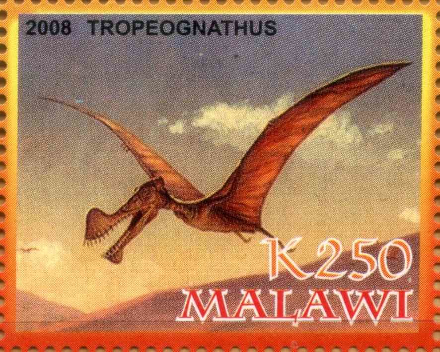 Tropeognathus
