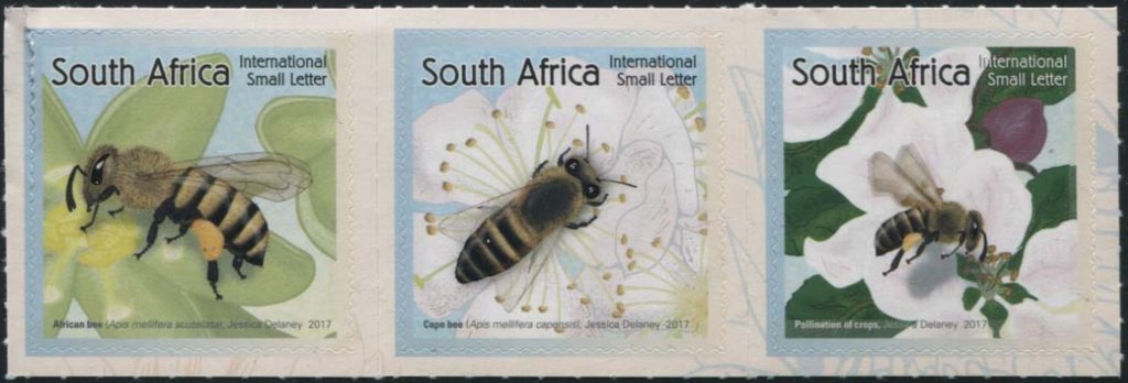 Bees