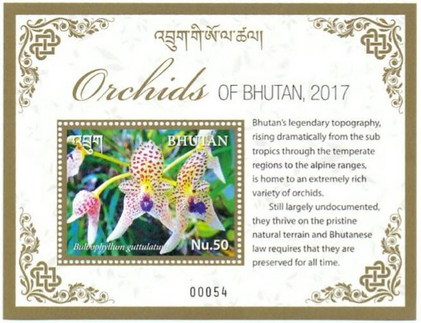 Orchids of Bhutan