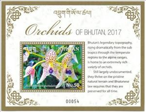 Souvenir Sheet, Orchids of Bhutan, Bhutan,  , Flowers, Orchids, Plants (Flora)