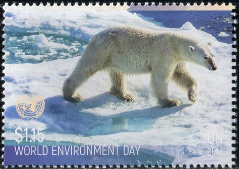 World Environment Day