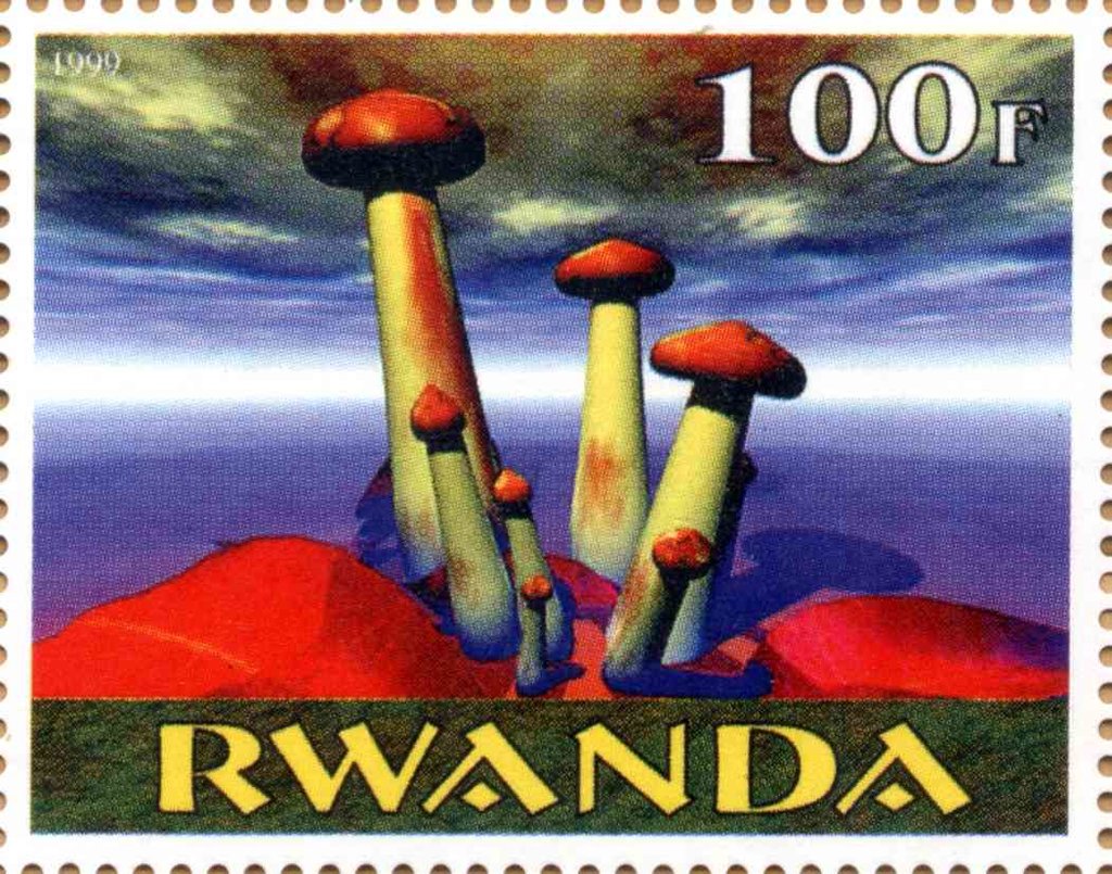 Mushrooms