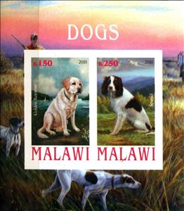 Mini Sheet, Dogs, Cinderellas,  , Animals (Fauna), Dogs