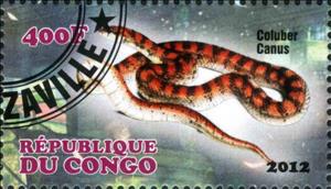 Stamp, Coluber Canus, Cinderellas,  , Animals (Fauna), Snakes