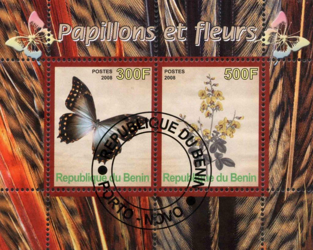 Papillons et fleurs