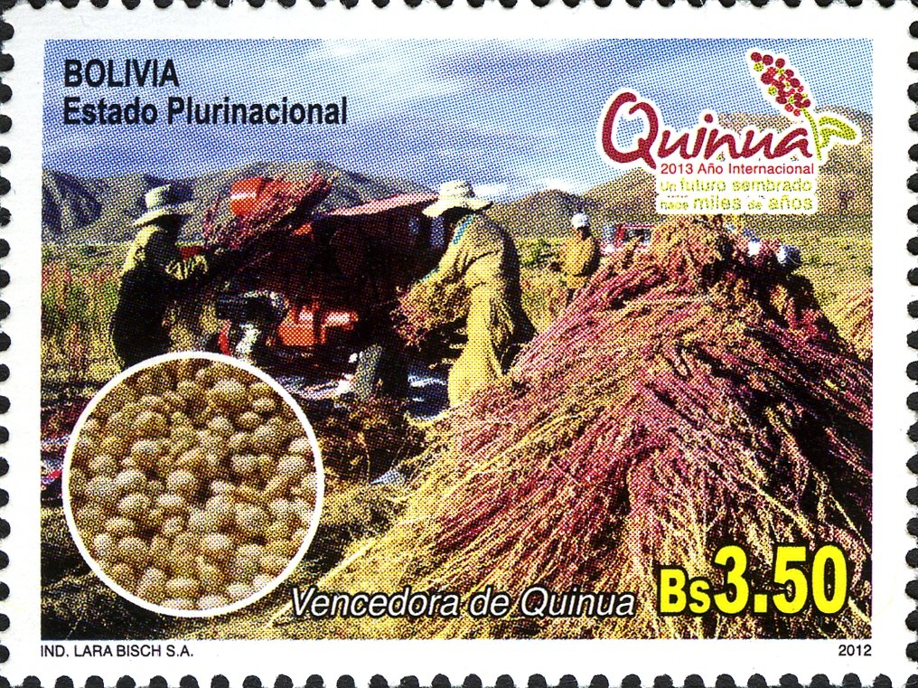 International Year of Quinoa 2013