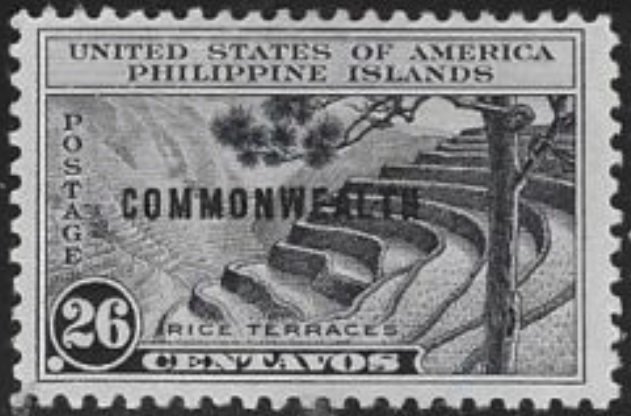 Rice terraces