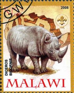 Stamp, Diceros Bicornis, Cinderellas,  , Animals (Fauna)