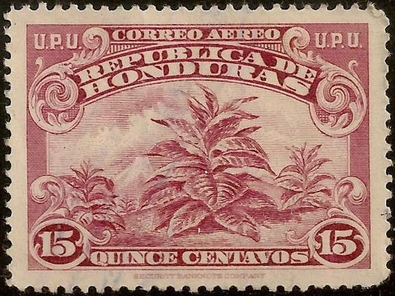Tobacco Plant