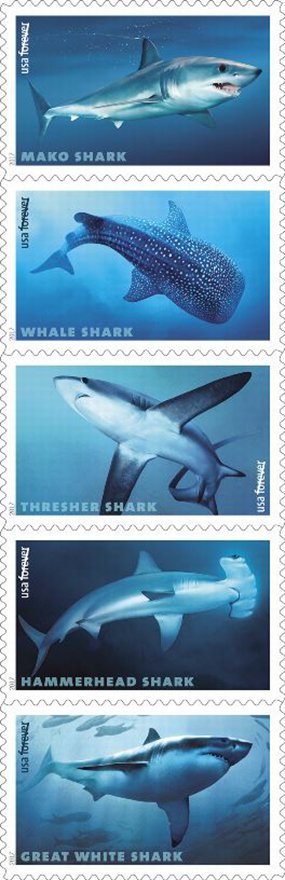 Sharks