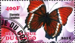 Stamp, Siproeta Epaphus, Cinderellas,  , Animals (Fauna), Butterflies