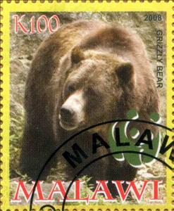 Stamp, Grizzly Bear, Cinderellas,  , Animals (Fauna), Bears