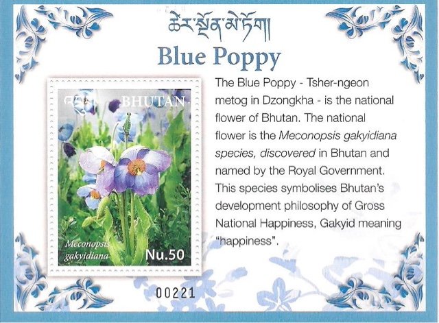Blue Poppy : National Flower Of Bhutan