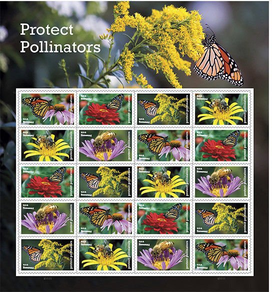 Protect Pollinators PANE