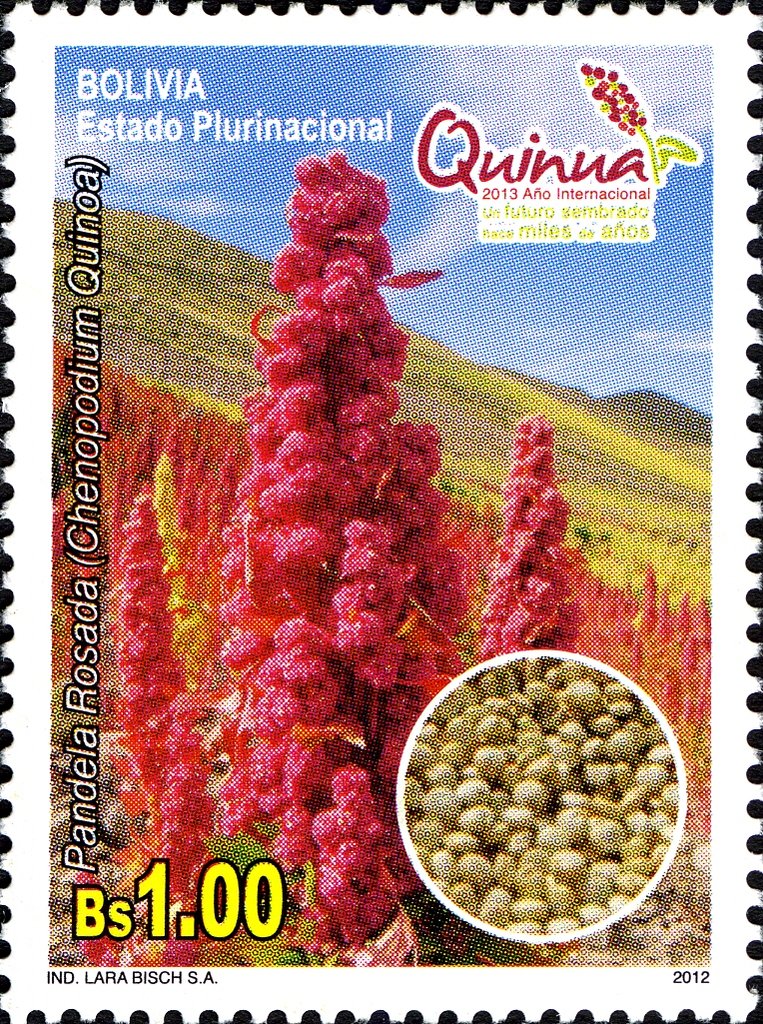 International Year of Quinoa 2013