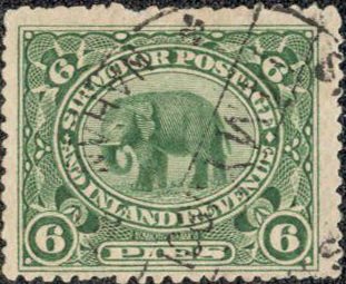 Indian Elephant (Elaphas Maximus)