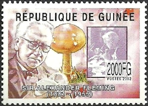Sir Alexander Fleming and Mushrooms