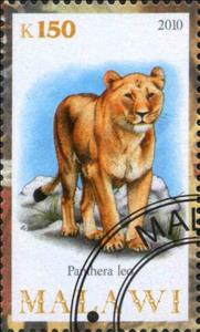 Stamp, Panthera Leo, Cinderellas,  , Animals (Fauna), Лев