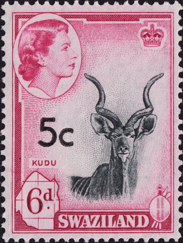 Greater Kudu (thin surcharge)