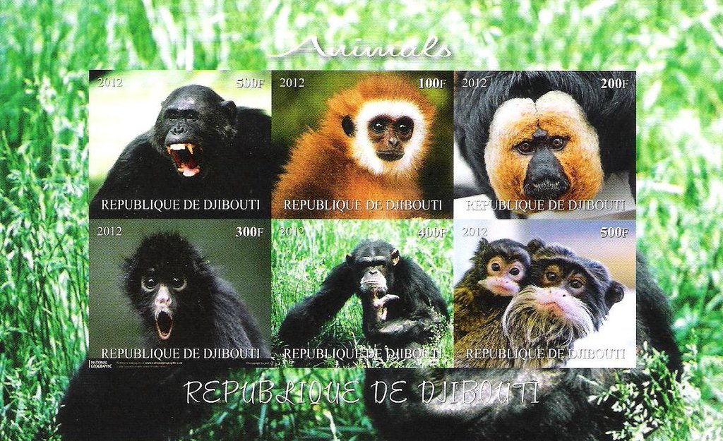 Monkeys