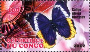 Stamp, Caligo Atreus Dionysas, Cinderellas,  , Animals (Fauna), Butterflies