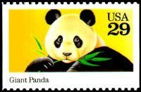 Giant Panda (Ailuropoda melanoleuca)