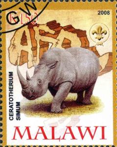 Stamp, Ceratotherium Simum, Cinderellas,  , Animals (Fauna)