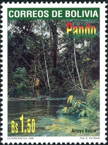 Bahia Arroyo