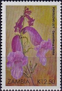 Stamp, Foxglove Lily - Ceratotheca triloba, Zambia,  , Flowers, Lilies (Flower), Plants (Flora)