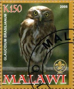 Stamp, Glaucidium Brasilianum, Cinderellas,  , Animals (Fauna), Birds, Owls