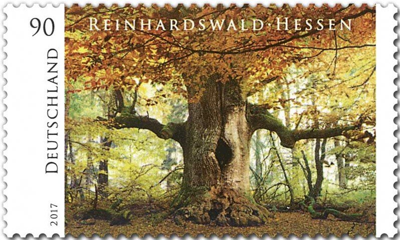 Reinhardswald